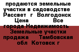 продаются земельные участки в садоводстве “Рассвет“ г. Волгодонск › Цена ­ 80 000 - Все города Недвижимость » Земельные участки продажа   . Тамбовская обл.,Котовск г.